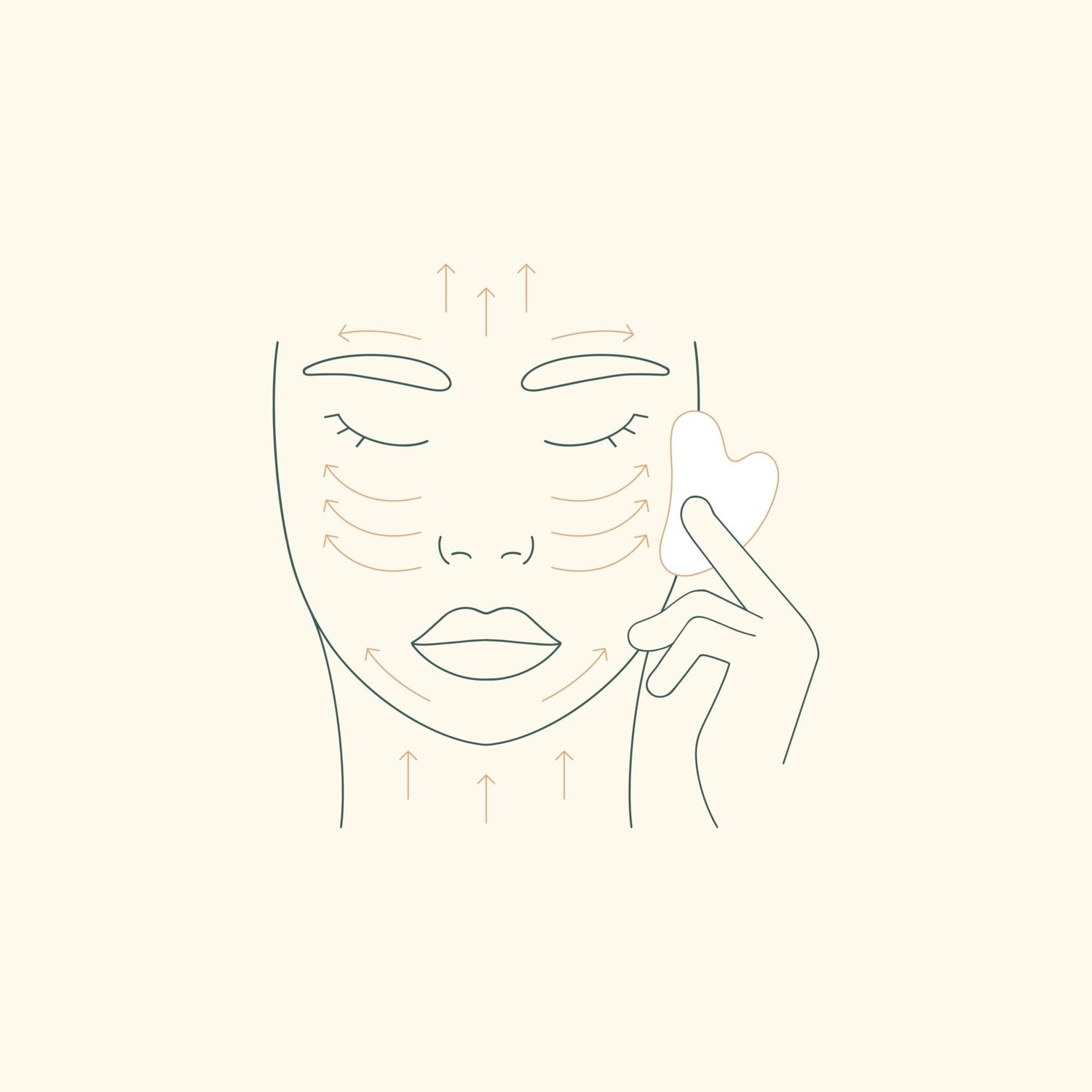 Renewal Stone | Jade Gua Sha Tool for Face & Body - PrimaPrimaproduct_type